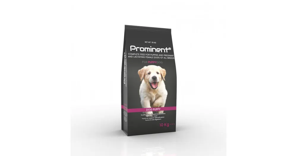 Prominent DOG PUPPY 10 kg