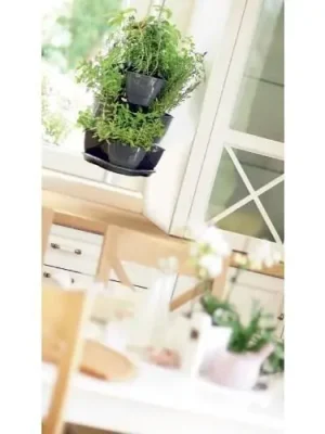 Závěsný petrželák COUBI HERBAL /150503/