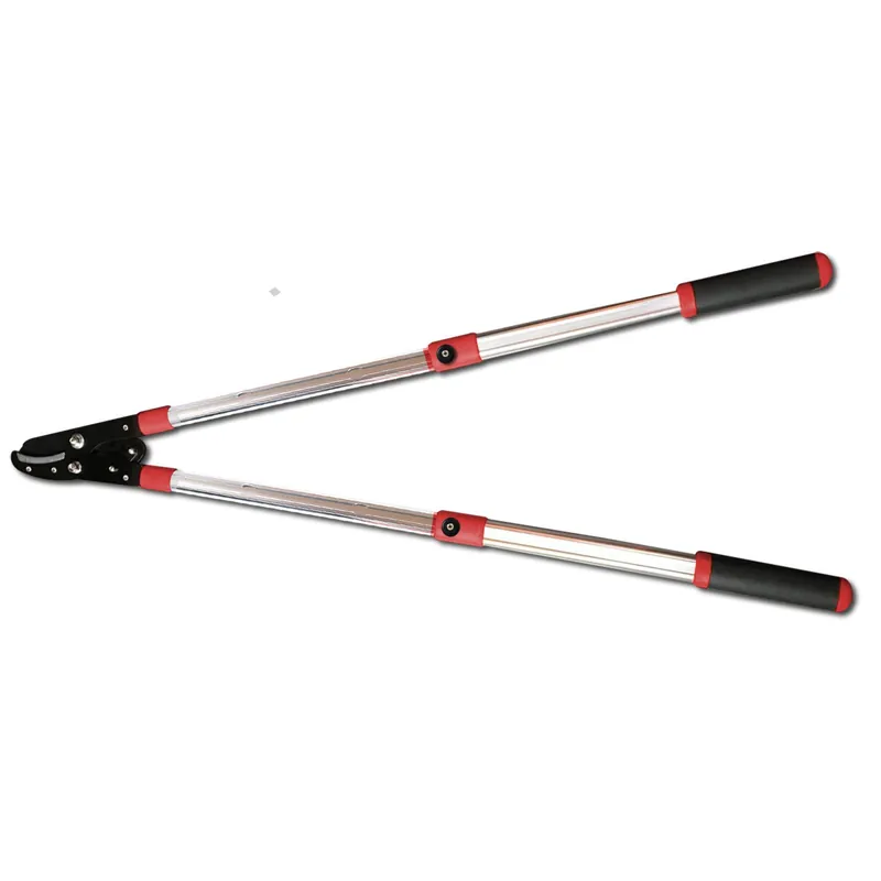 AKCE XT Nůžky na větve teleskopické převodové 650-1030 mm XTLINE