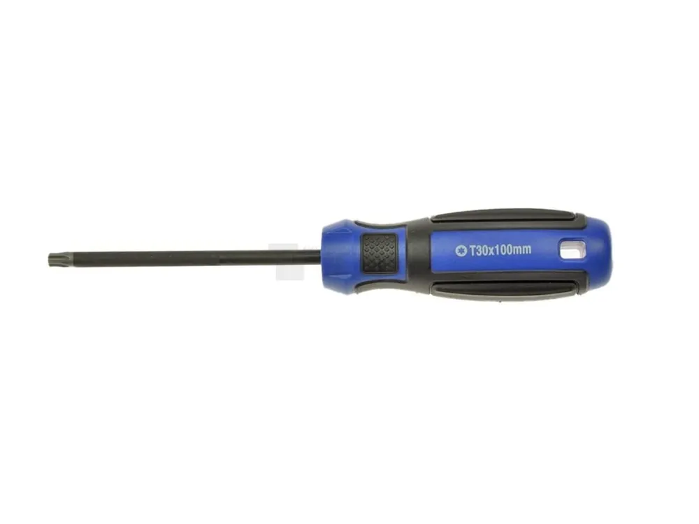 CONDOR Profi šroubovák TORX T20 x100mm