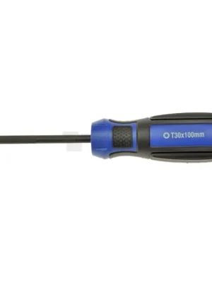 CONDOR Profi šroubovák TORX T27 x100mm