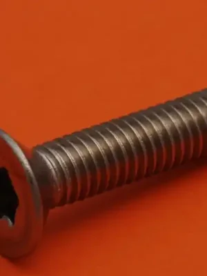 šroub M 2 x 4 DIN 965TX/A2