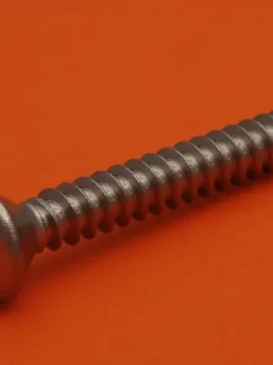 šroub 2.9x 9.5 DIN7983C/A4