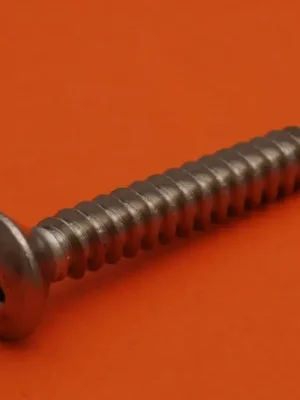 šroub 2.9x 9.5 DIN7983TX/A2